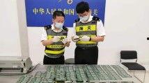 国产人人看,引领潮流的国产影视平台解析